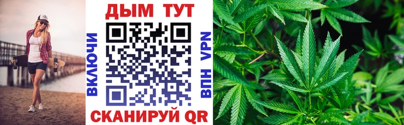 Каннабис семена Гвардейск